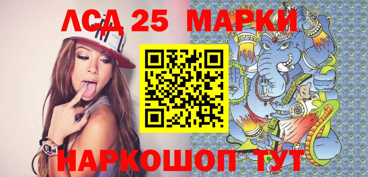 купить   Вход с VPN  Наркотические марки 1,5мг  Прохладный  Наркотические марки 1,5мг 