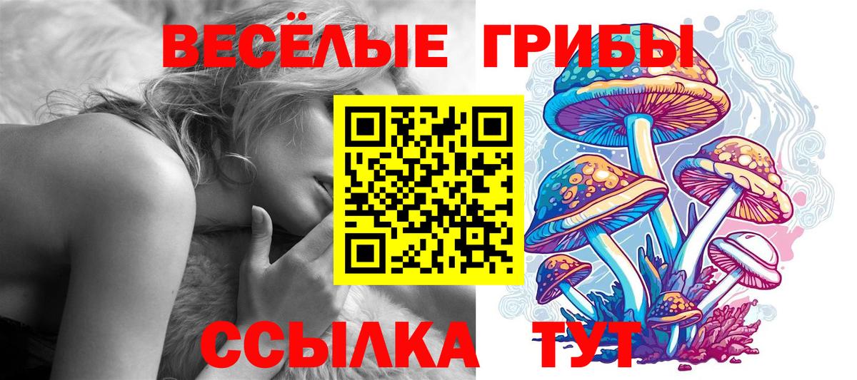 Псилоцибиновые грибы мицелий Прохладный