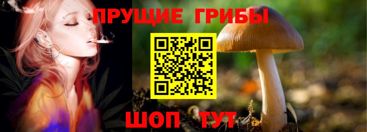 Прохладный  Псилоцибиновые грибы прущие грибы  Вход с VPN 